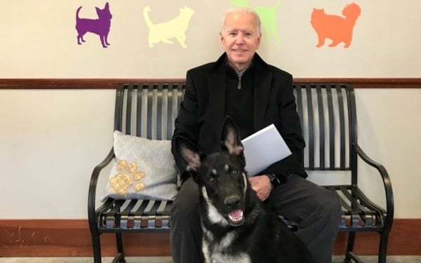 Joe Biden suffered "hairline fractures" in a foot while playing with his dog.