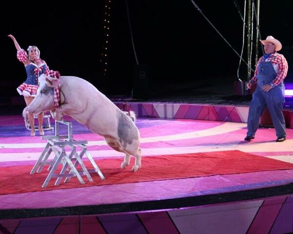 Grumpy’s Pork Chop Review in the center ring. 