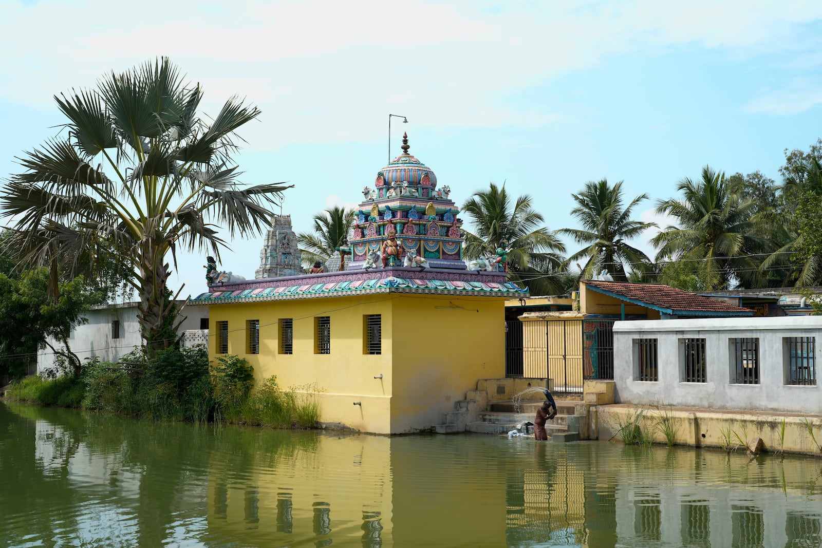 A villager washes clothes at a pond adjacent to Sri Dharmasastha Hindu temple in Thulasendrapuram, the ancestral village of Democratic presidential nominee Vice President Kamala Harris, in Tamil Nadu state, India, Monday, Nov. 4, 2024. (AP Photo/Aijaz Rahi)