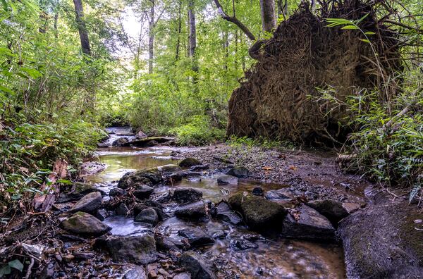 Drowning Creek at Rowen. (Courtesy of Rowen Foundation)