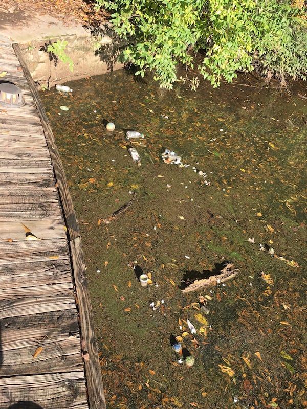 Part of Lake Clara Meer during a cleanup project hosted by the Piedmont Park Conservancy on Friday, November 16, 2018.