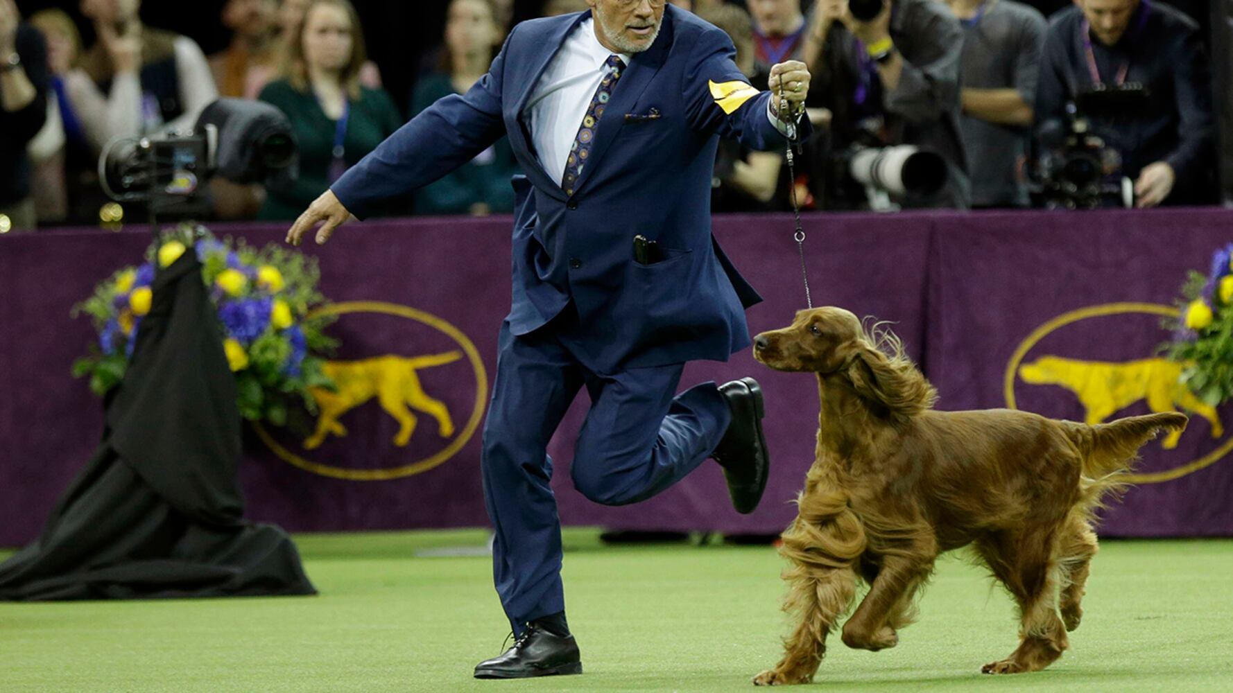 2019 Westminster Dog Show