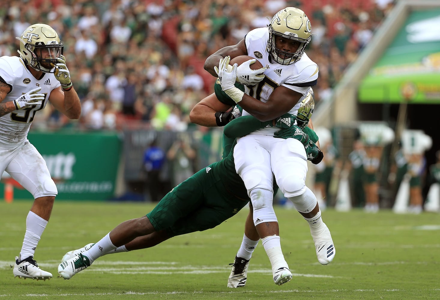 Photos: Georgia Tech is tested by South Florida