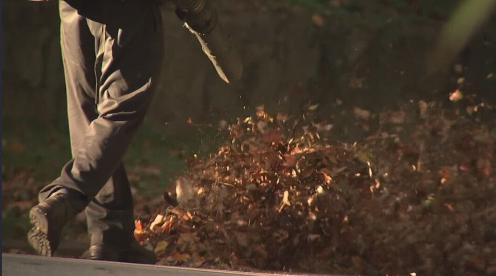 A leaf-blower bill was one of the most talked about — and heavily debated — measures during this year's legislative session, even though no Georgia cities or counties have banned gas-powered leaf blowers.