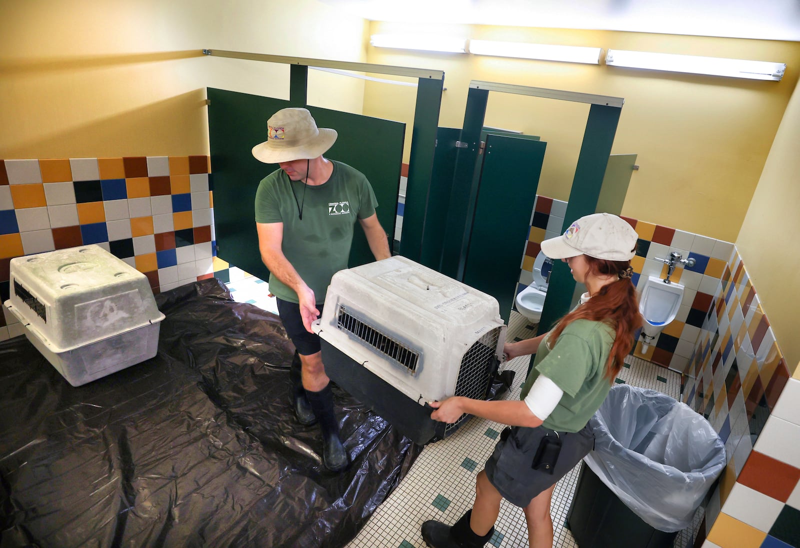 Birdkeepers Austin Laroche and Madi Unwin move animals into a restroom at the Central Florida Zoo and Botanical Gardens in Sanford, Fla., Tuesday, Oct. 8, 2024, in preparation for the impact of Hurricane Milton. (Joe Burbank/Orlando Sentinel via AP)