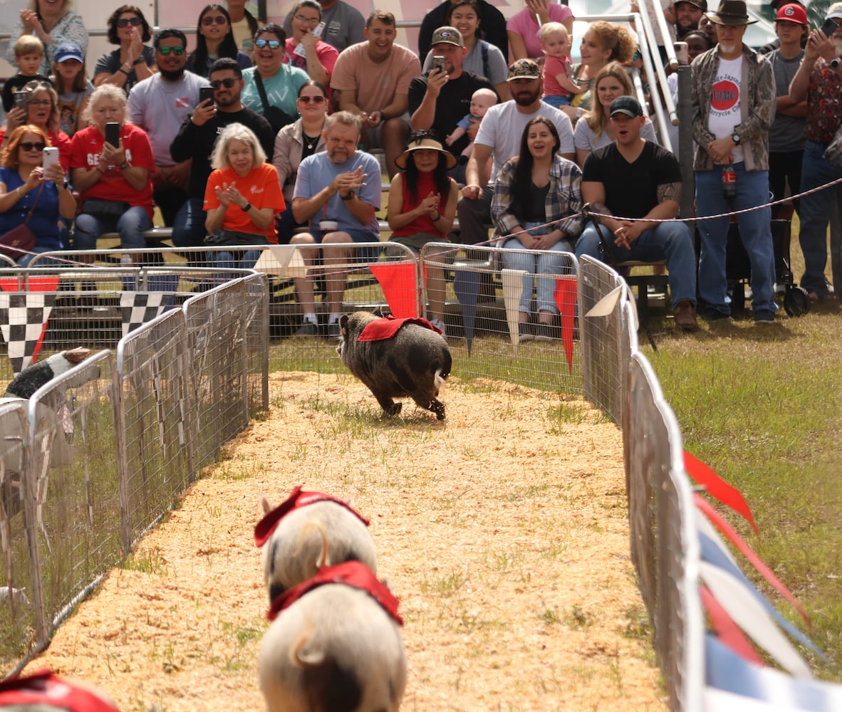 UGA FAIR