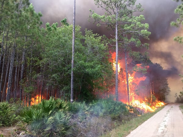 May 11, 2017: The West Mims fire in the Okefenokee National Wildlife Refuge in South Georgia. Photo shot by firefighters from the Balcones Canyonlands National Wildlife Refuge in Texas.