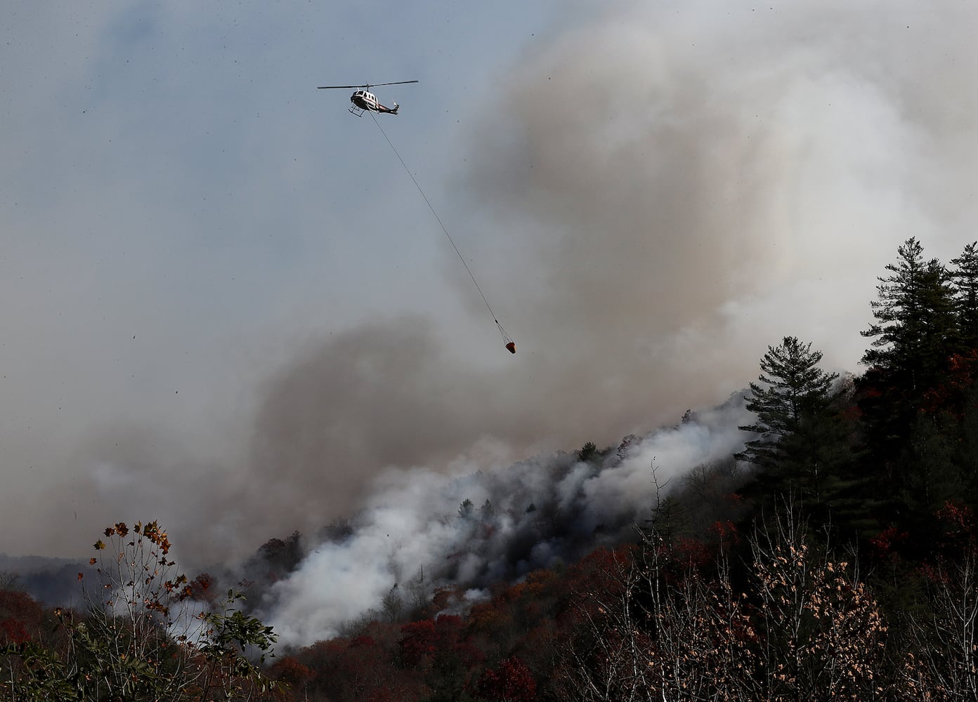 Tate City fires