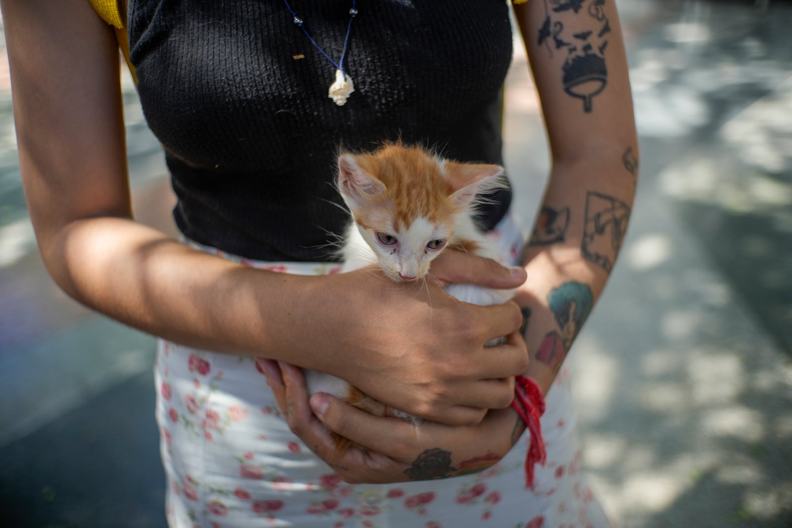 A girl holds her newly adopted kitten at an animal adoption fair in Havana, Cuba, Saturday, Sept. 28, 2024. (AP Photo/Ramon Espinosa)