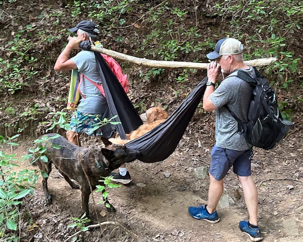 Hikers helped carry Prince down the mountain after he could no longer walk. Courtesy of Cheryl Hite