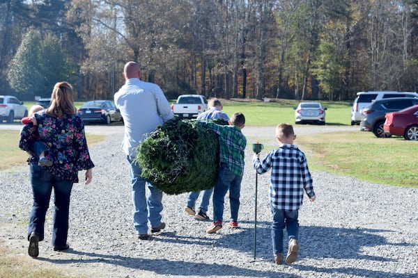 The Knapp family, from Snellville, carry their Christmas tree to haul home. The family cut down the tree Nov. 14  at Bottoms Christmas Tree Farm in Cumming.