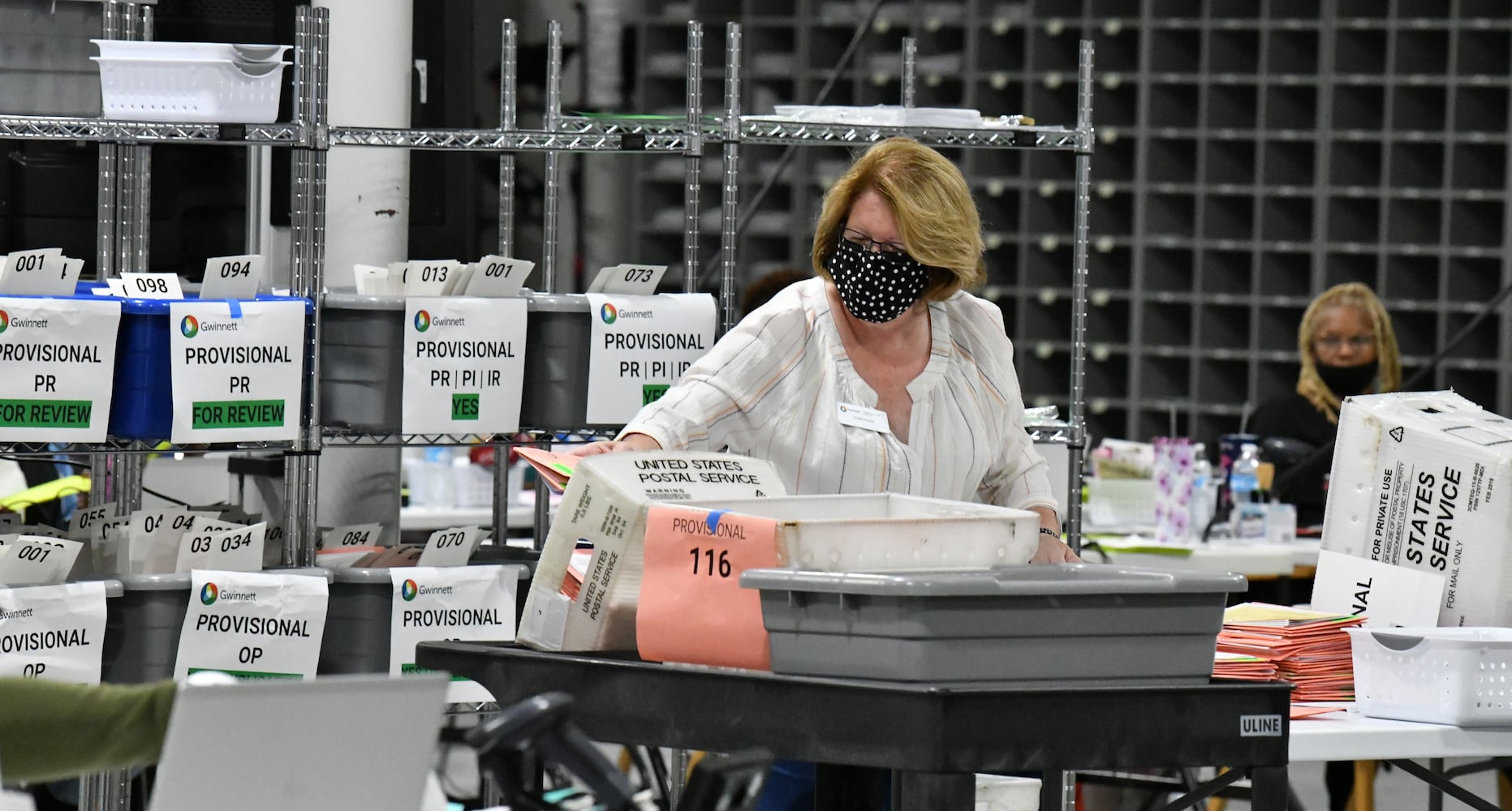 Gwinnett ballots counting