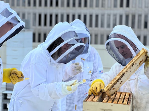 James Gallo is both the Hyatt’s pastry chef and its beekeeper. Courtesy of PWP Studio Corporate Event Photographers