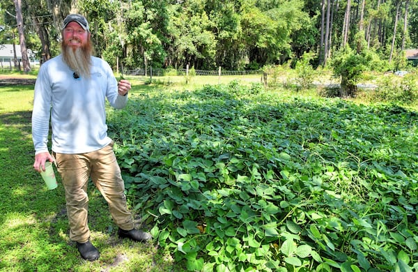 Potlikker Farm manager Sam McPherson shows his planted patch of pea plants that later will be plowed under as a cover crop to enrich the soil. Chris Hunt for The Atlanta Journal-Constitution 