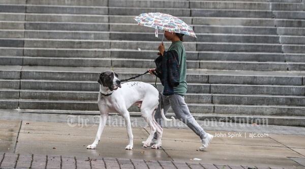 Julia Wang takes Cooper for a walk in the rain Monday morning past the Woodruff Arts Center in Midtown Atlanta.