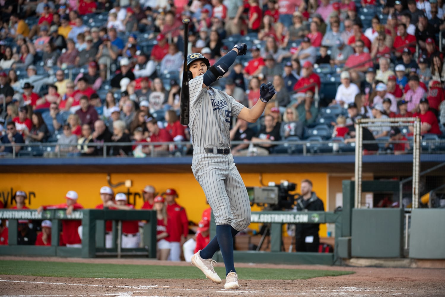 Angelo DiSpigna, Georgia Tech