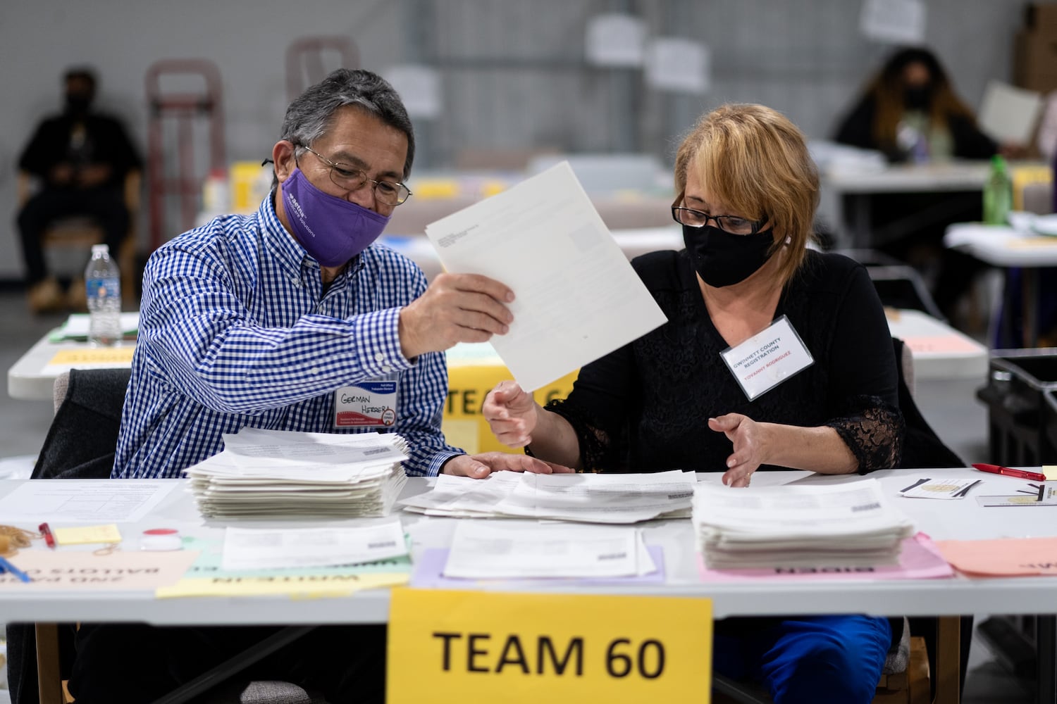 Gwinnett Recount