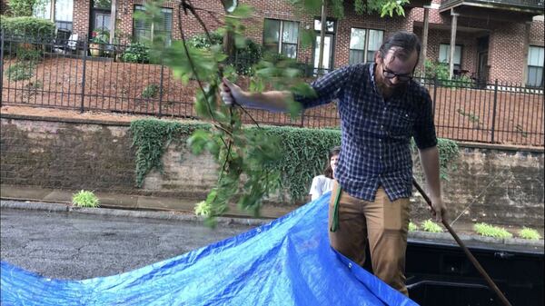 Riley Perszyk, a pharmacologist and dedicated bicyclist, shakes the branch of a mulberry tree during a recent, rainy gathering of volunteers with Concrete Jungle. The nonprofit gathers fruit that would otherwise go to waste, and delivers it to helping agencies who provide meals for the homeless. BO EMERSON / BEMERSON@AJC.COM