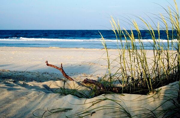 Camp an hour away and save hundreds on hitting the beach at Tybee Island.