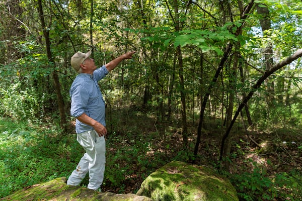 Matthew “Twig” Largess gives a tour of Intrenchment Creek Park in DeKalb County on Monday, August 29, 2022. (Arvin Temkar / arvin.temkar@ajc.com)