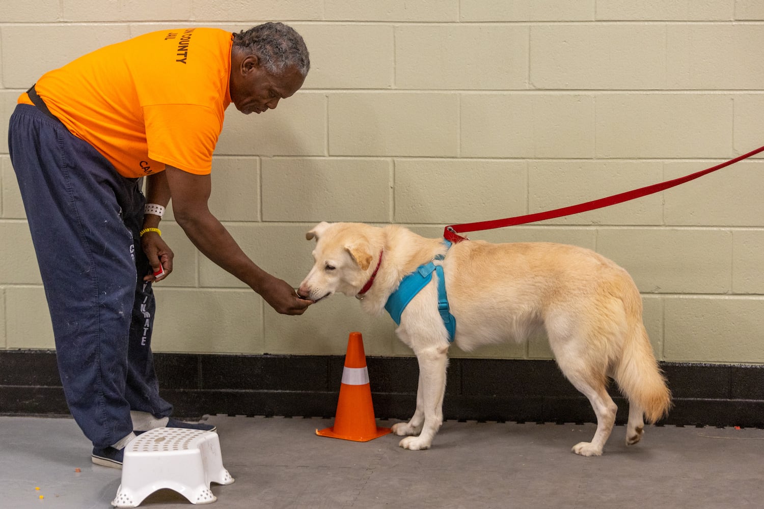 Canine CellMates