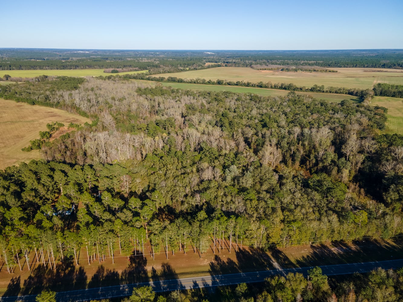 Grow bananas, pecans and more on your own personal Georgia estate for $2 million