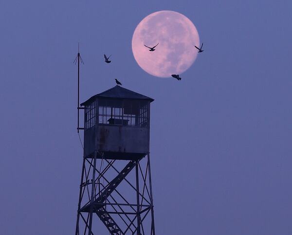 November 15, 2016, Madison: The supermoon hangs in the sky over a fire service look out tower shrouded in a smokey haze from wildfires in northern Georgia as birds come in to land on the roof on Tuesday, Nov. 15, 2016, near Madison. It is another code red smog alert day because of the air quality due to the fires.    Curtis Compton/ccompton@ajc.com