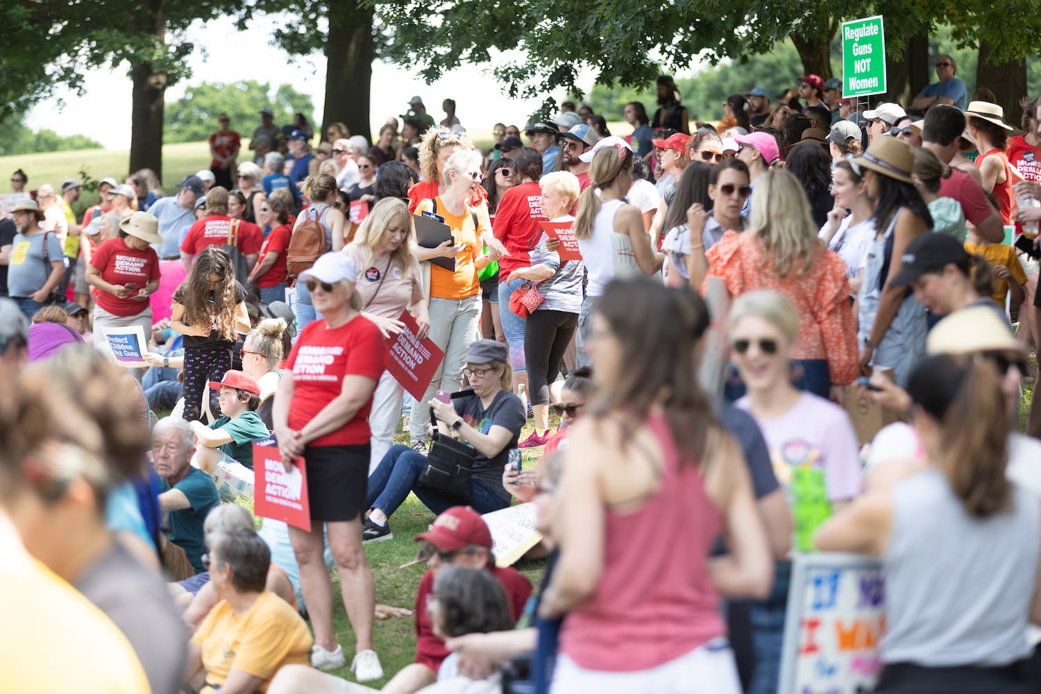 A RALLY ORGANIZED BY MOMS DEMAND ACTION