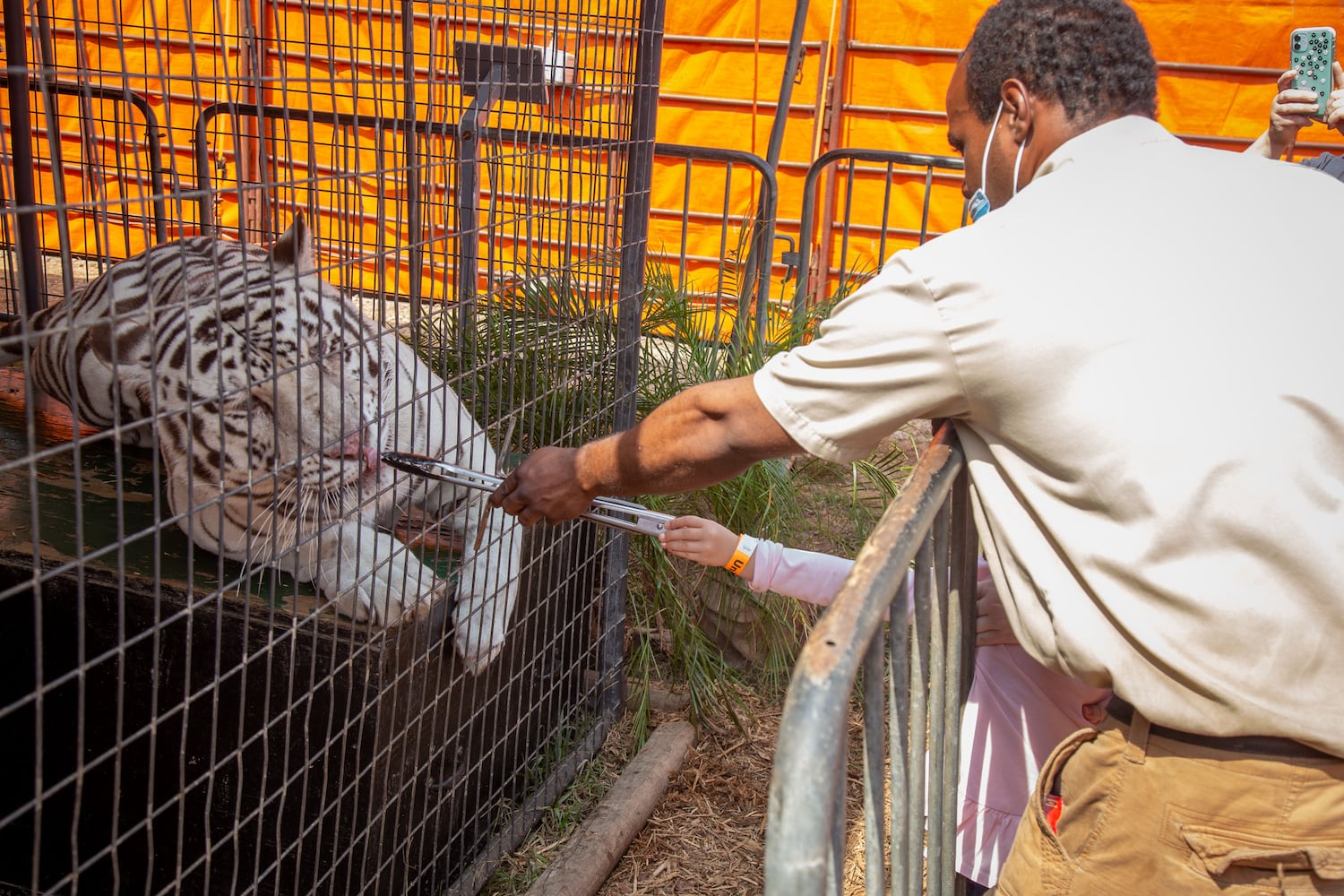 Georgia State Fair returns with pandemic precautions