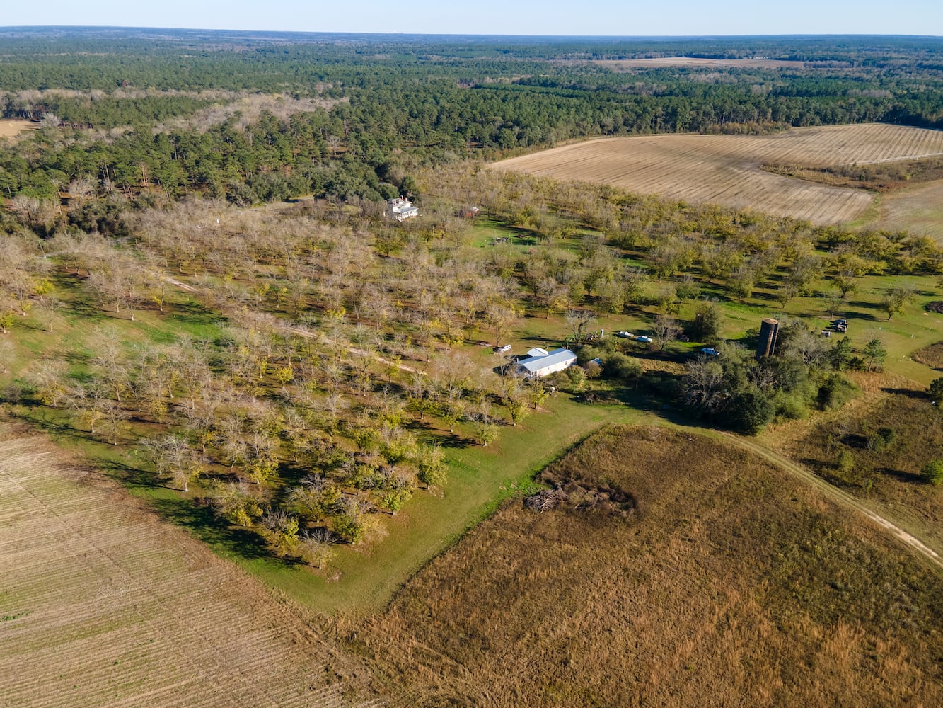 Grow bananas, pecans and more on your own personal Georgia estate for $2 million