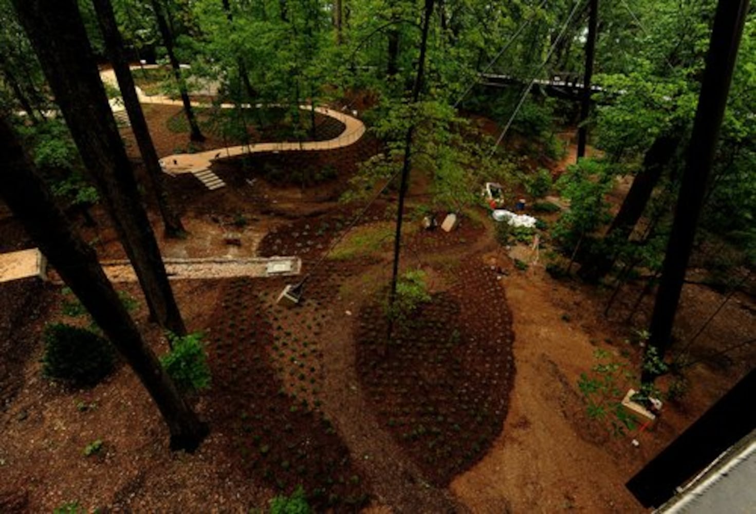 Canopy Walk, Botanical Garden expansion to open