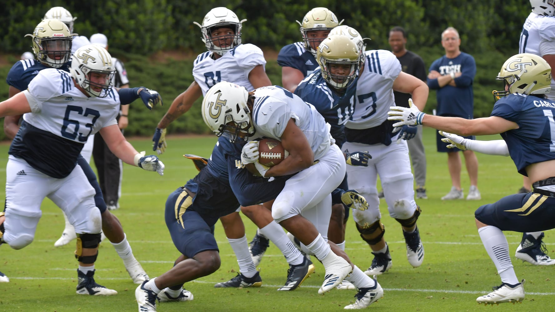 Georgia Tech Yellow Jackets