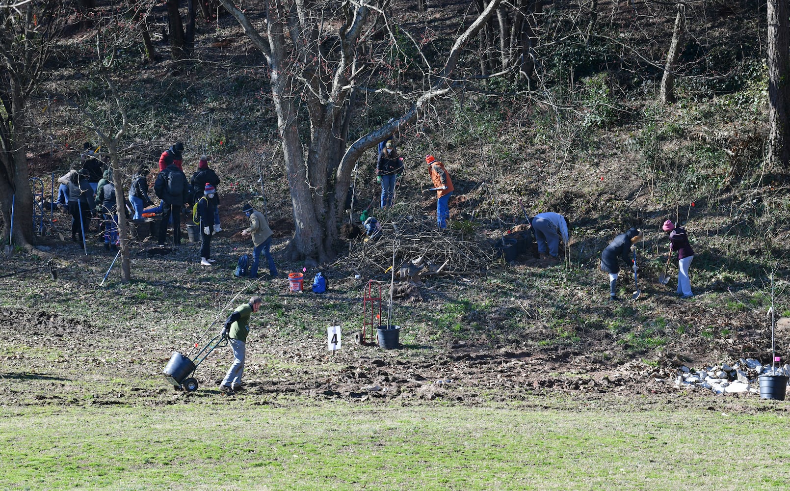 300 trees planted at Freedom Park to honor John Lewis