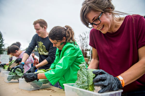 Elizabeth Warren (right) furiously shreds a head of cabbage during the Cabbagetown Chomp & Stomp in Atlanta on Saturday, November 7, 2015. Thousands of people took over the streets of the neighborhood to eat, drink, shop, listen to music and particiapte in cabbage related games. JONATHAN PHILLIPS / SPECIAL