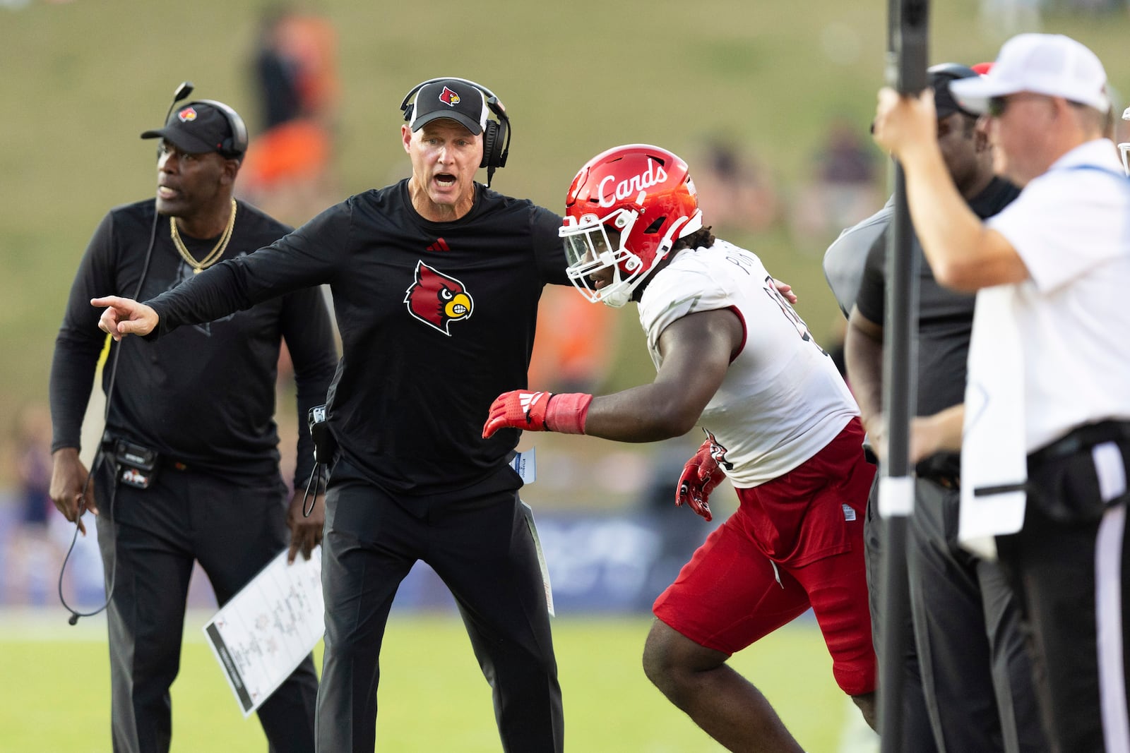 Louisville head coach Jeff Brohm gestures as defensive lineman Ramon Puryear (41) runs out onto the field during the second half of an NCAA college football game against Virginia, Saturday, Oct. 12, 2024, in Charlottesville, Va. (AP Photo/Mike Kropf)