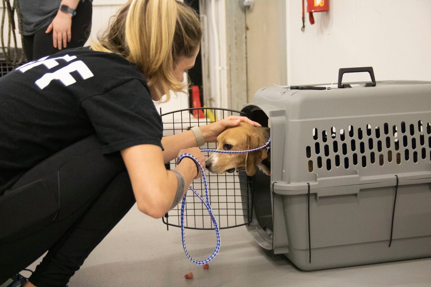 Atlanta Humane Society rescues dozens of dogs from animal testing breeding facility