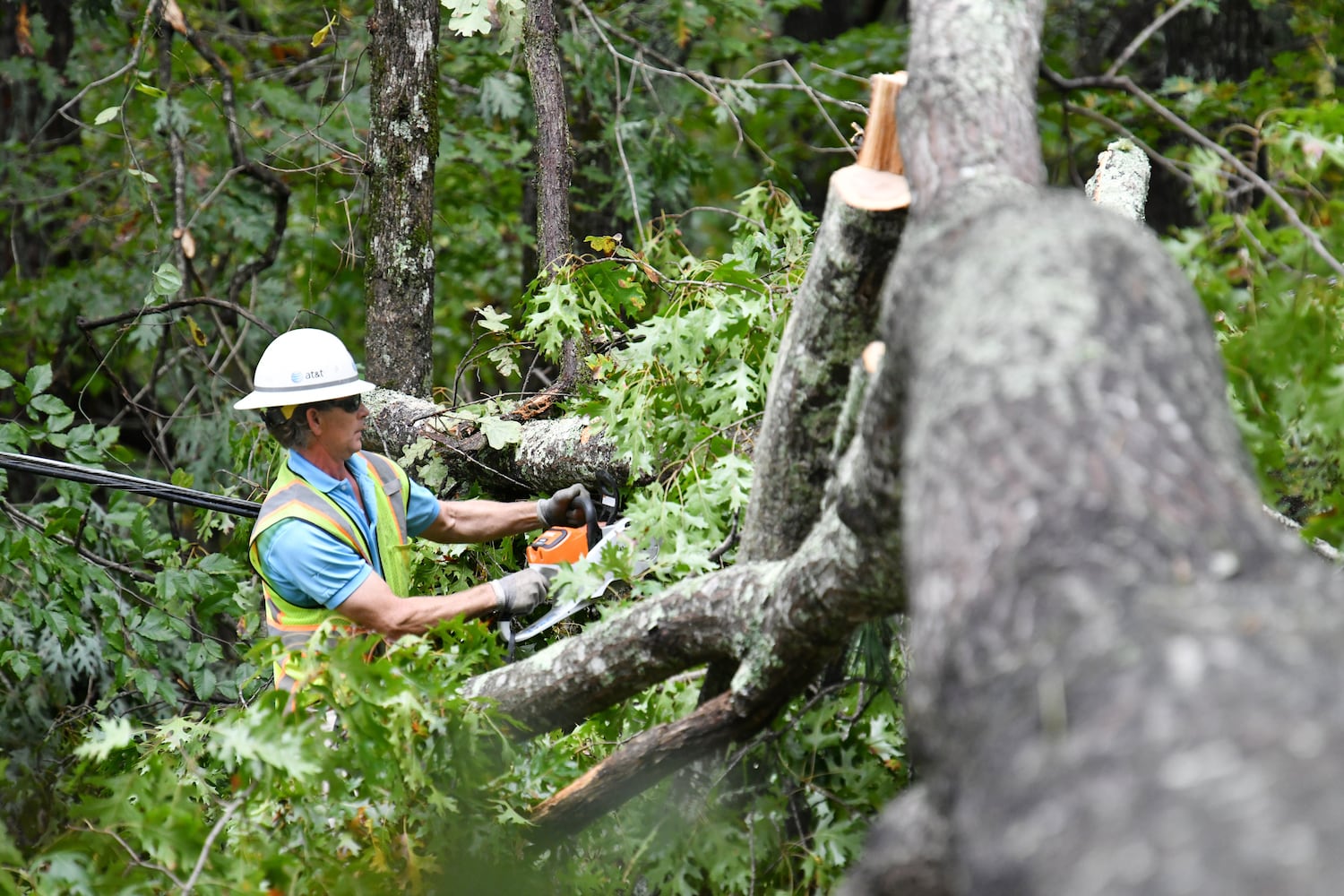 Zeta’s impact in metro Atlanta: Death, damage, power outages