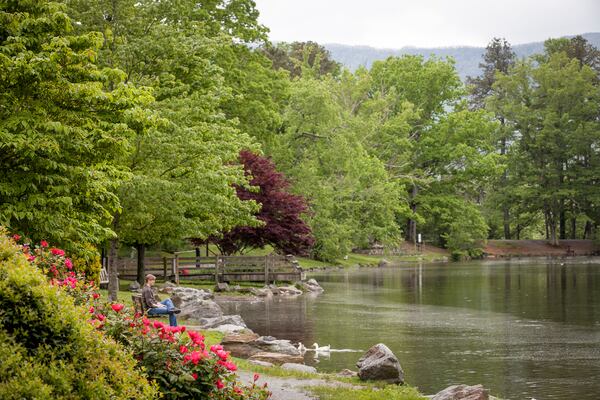 Scenes around Lake Tomahawk. Municipal lake and park in Black Mountain.