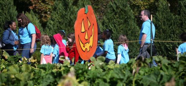 Visitors get to tour the pumpkin patch and learn how to grow their own pumpkins.