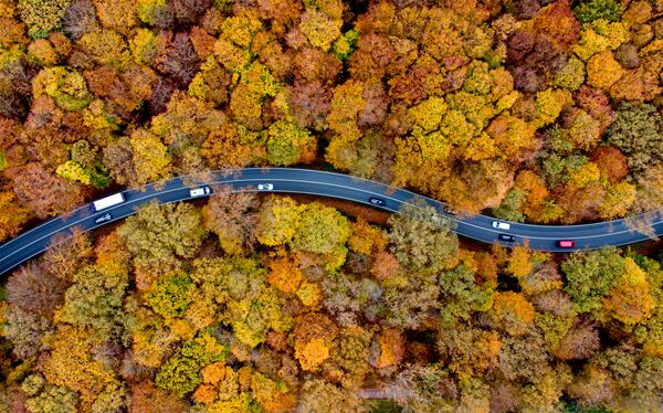 Traffic rolls through a colorful forest in the Taunus region in Usingen near Frankfurt, Germany, Friday, Nov. 1, 2024. (AP Photo/Michael Probst)