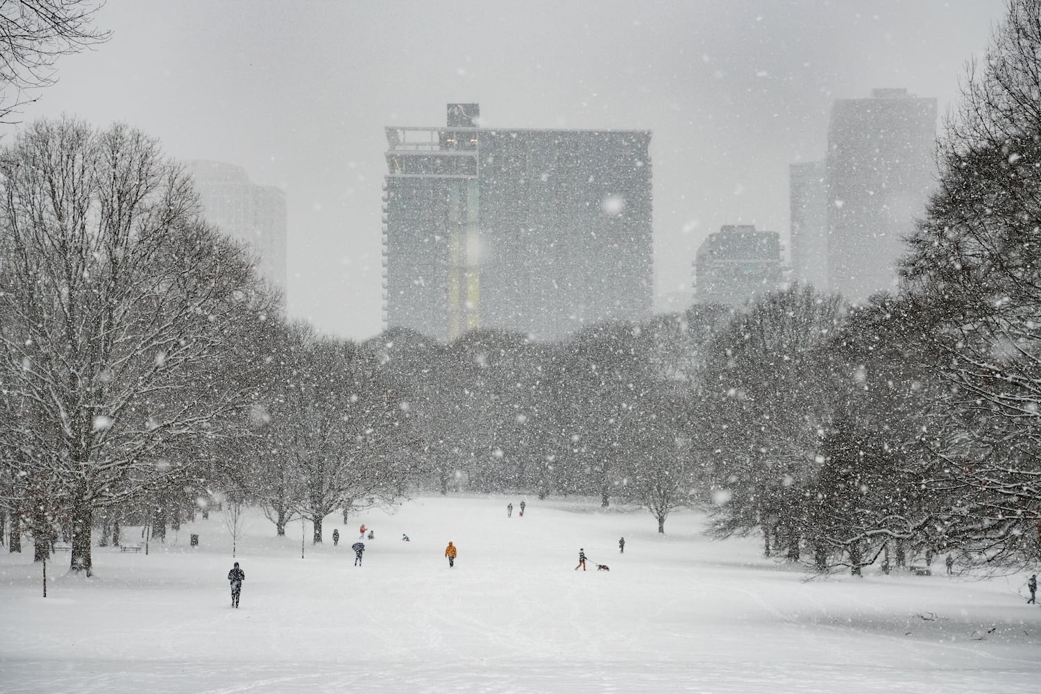 Atlanta residents walk, run, and play in the snow inside Piedmont Park in Midtown Atlanta, Georgia. Friday, January 10, 2025 (Ben Hendren for the Atlanta Journal-Constitution)