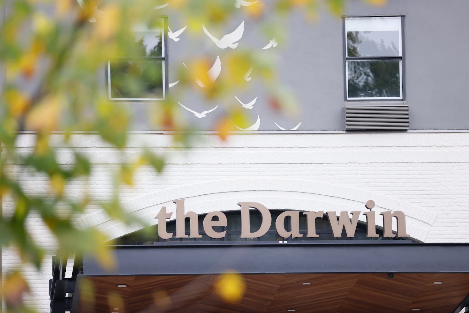 The Darwin Hotel