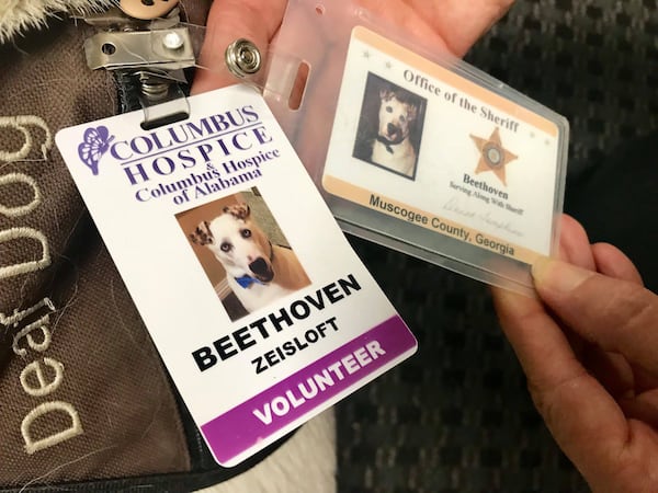 This 2018 photo from Gainesville Police Department shows Beethoven's volunteer and Muscogee County Sheriff's Office IDs.