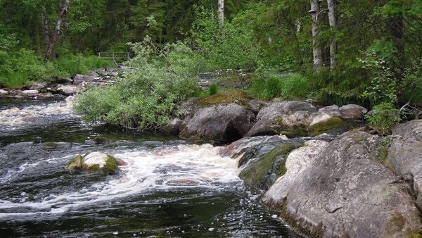 Stock photo of a river.