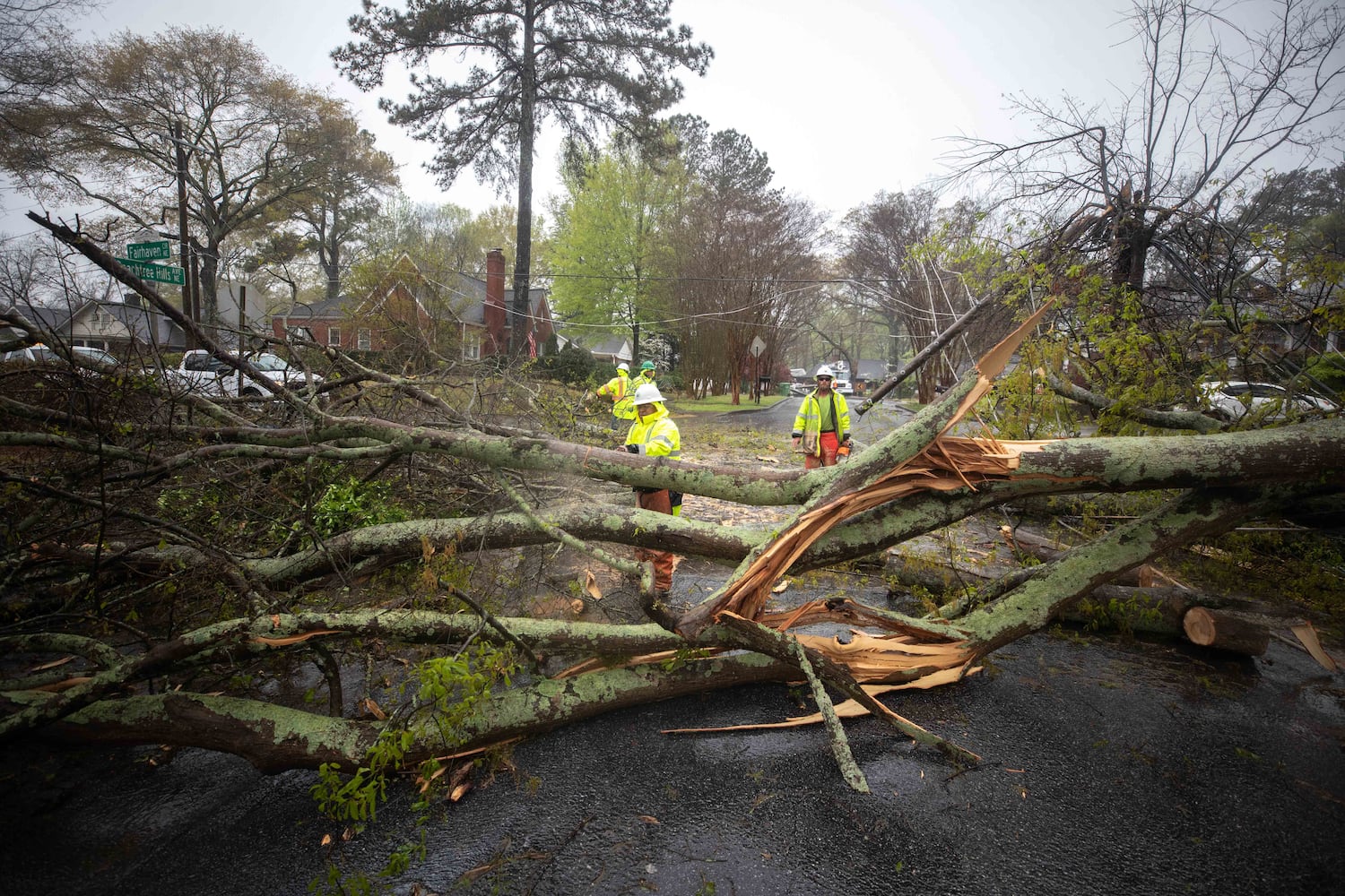 Strong storms bring down trees in Atlanta