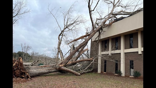 A tree toppled onto a building located on the University of Georgia's Griffin campus during a storm that hit the area on Thursday, Jan. 12, 2023. (University of Georgia photo)