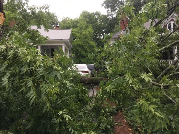 A downed tree was reported in a Marietta neighborhood Monday evening.