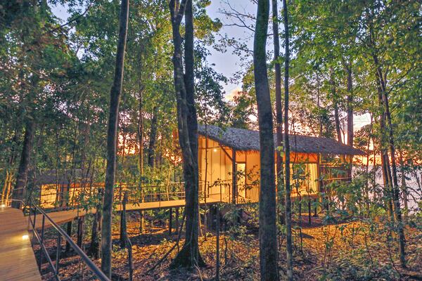 Fall asleep surrounded by the sounds of the rainforest at the Corcovado Wilderness Lodge in Costa Rica.
(Courtesy of SCP Corcovado Wilderness Lodge)