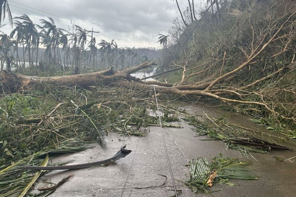 In this photo provided by the MDRRMO Viga Catanduanes, toppled trees caused by Typhoon Man-yi block a road in Viga, Catanduanes province, northeastern Philippines Sunday, Nov. 17, 2024. (MDRRMO Viga Catanduanes via AP)