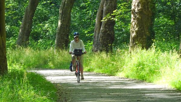 The writer's sister, Lee, pedals along the path through a glen on their way to Mainau island. (Christine Negroni/Chicago Tribune/TNS)